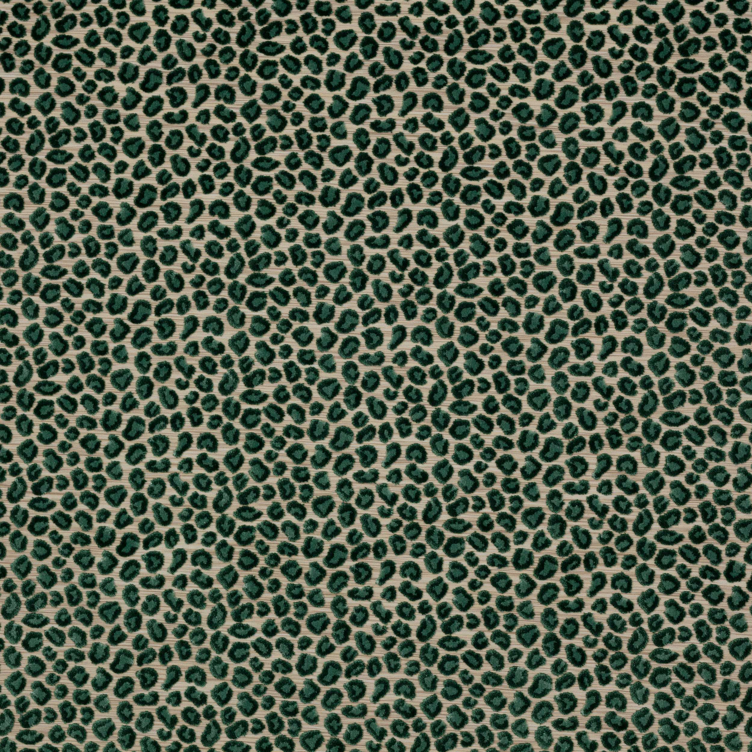 Wild Forest Green | Fabrics & More
